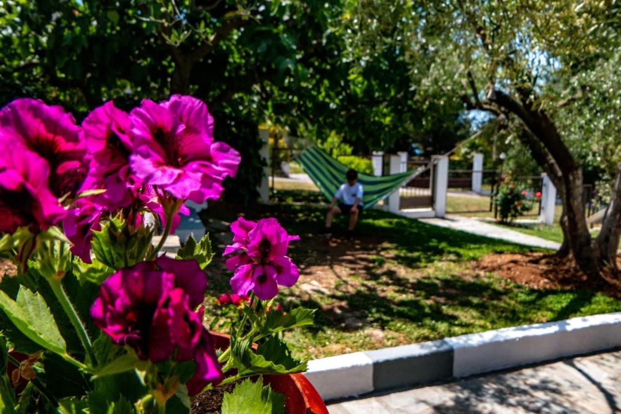 Small Paradise Никити Экстерьер фото